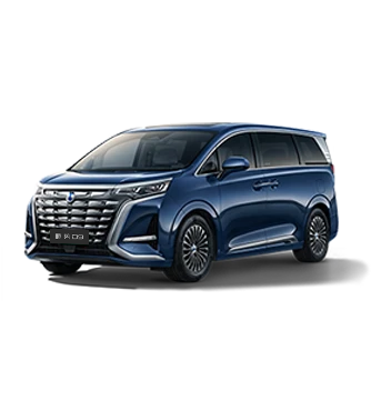 2024款云顶集团3118D9